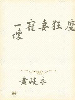 一宠妻狂魔别太坏