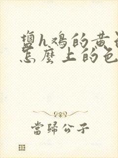盐h鸡的黄色是怎么上的色