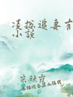 凌总追妻有点甜小说