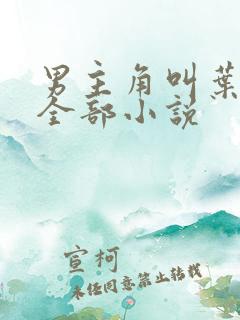 男主角叫叶枫的全部小说