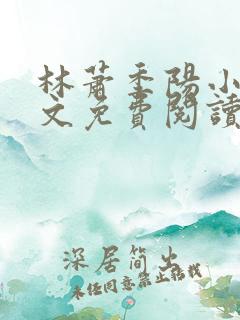 林萧季阳小说全文免费阅读