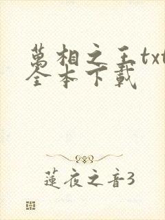 万相之王txt全本下载