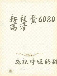 新视觉6080高清