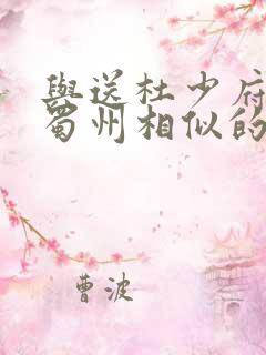 与送杜少府之任蜀州相似的诗