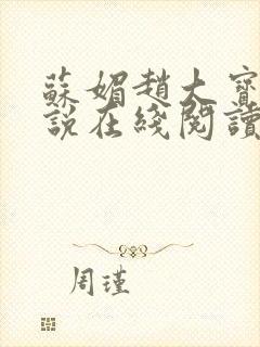 苏媚赵大宝的小说在线阅读免费全集