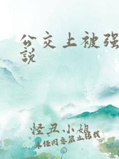 公交上被强插小说