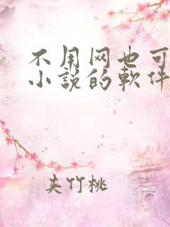 不用网也可以看小说的软件