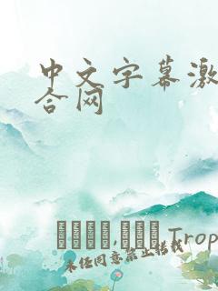 中文字幕激情综合网