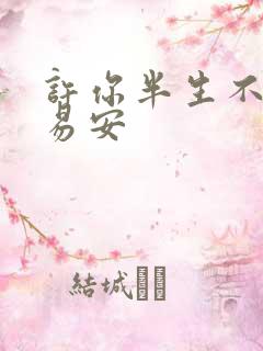 许你半生不见沈易安