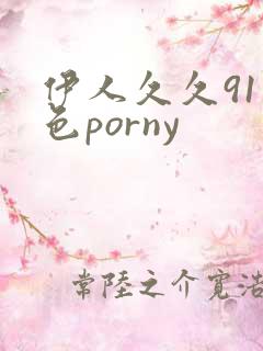 伊人久久91九色porny