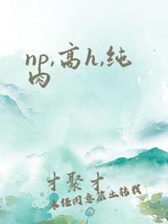 np,高h,纯肉