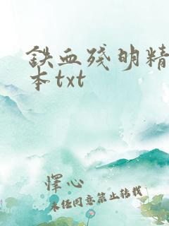 铁血残明精校全本txt