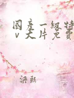 国产一级特黄aⅴ大片免费