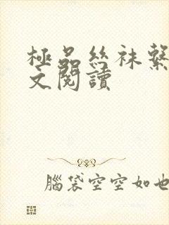 极品丝袜系列全文阅读