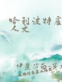 哈利波特卢平同人文