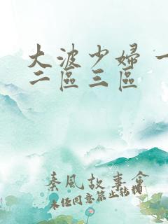 大波少妇 一区二区三区
