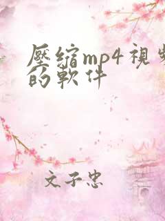 压缩mp4视频的软件