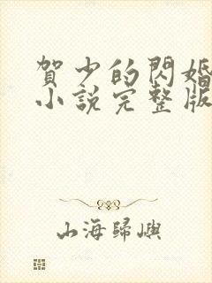 贺少的闪婚暖妻小说完整版