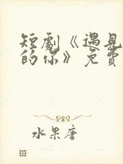 短剧《遇见正确的你》免费观看