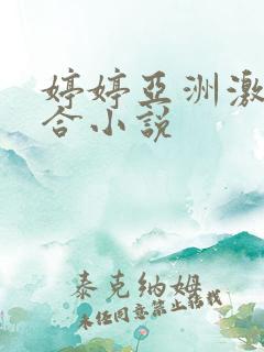 婷婷亚洲激情综合小说