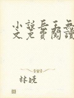小说兵王无双全文免费阅读