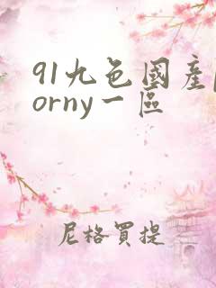 91九色国产porny一区