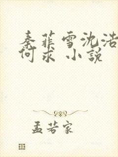 秦菲雪沈浩一生何求 小说
