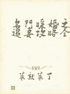 名门暖婚之权爷追妻攻略全文阅读