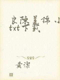 良陈美锦 小说txt下载