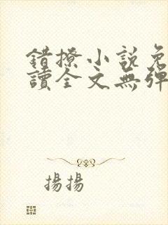 错撩小说免费阅读全文无弹窗