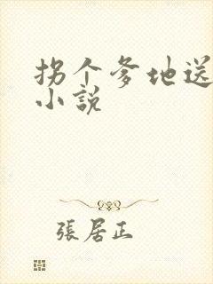 拐个爹地送妈咪小说