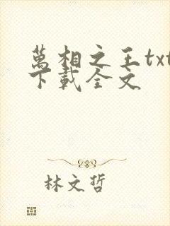 万相之王txt下载全文