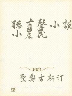 听有声小说至尊小农民