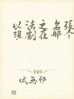 以法之名张译电视剧在哪个频道