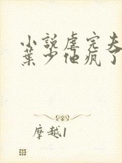 小说虐完夫人后叶少他疯了