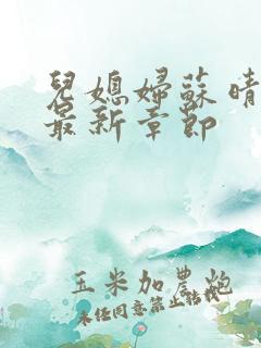 儿媳妇苏晴小说最新章节