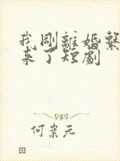 我刚离婚系统就来了短剧