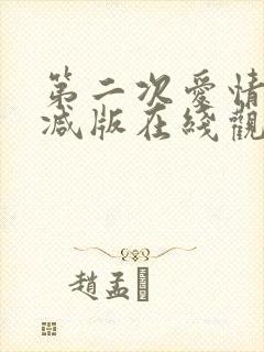 第二次爱情未删减版在线观看