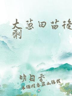 大葱田苗后除草剂