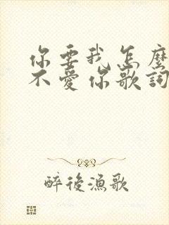 你要我怎么说我不爱你歌词