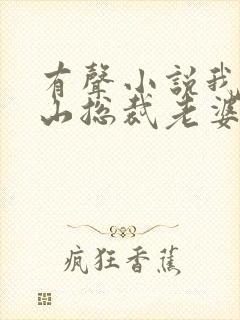 有声小说我的冰山总裁老婆