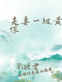 夫妻一级黄色录像