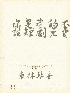 你是我的不可言说短剧免费播放全集