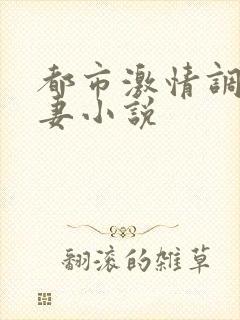 都市激情调教人妻小说