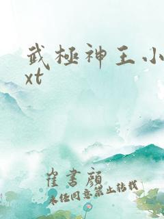 武极神王小说txt