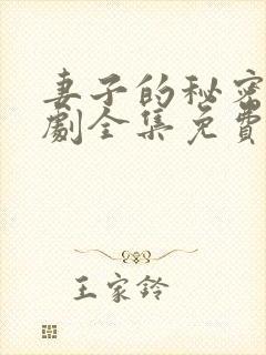 妻子的秘密电视剧全集免费完整版
