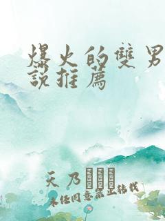 爆火的双男主小说推荐