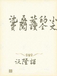 沈桑若的小说免费阅读全文