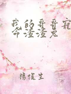 我的哥哥宠妹如命渣渣兔