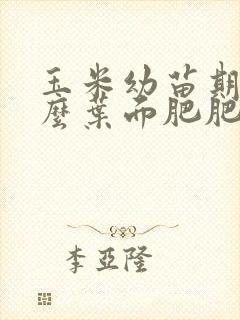 玉米幼苗期用什么叶面肥肥最佳